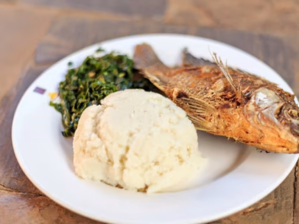 14-Day Kenya Culinary & Safari Itinerary