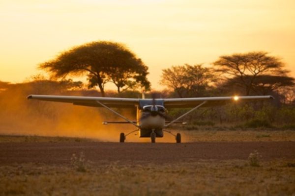 4 Day Masai Mara On Wings