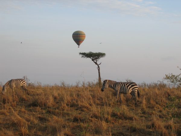 3 Days Migration Safari