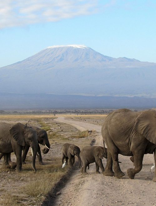 4 Day Masai Mara & Lake Nakuru Private Safari