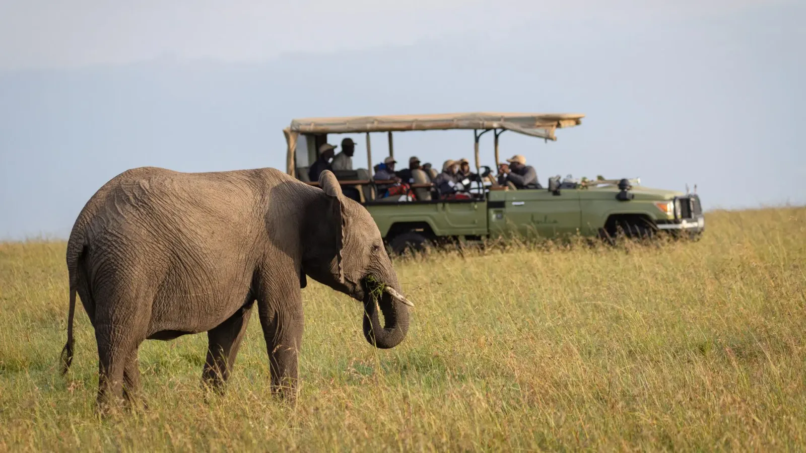 Masai Mara National Reserve