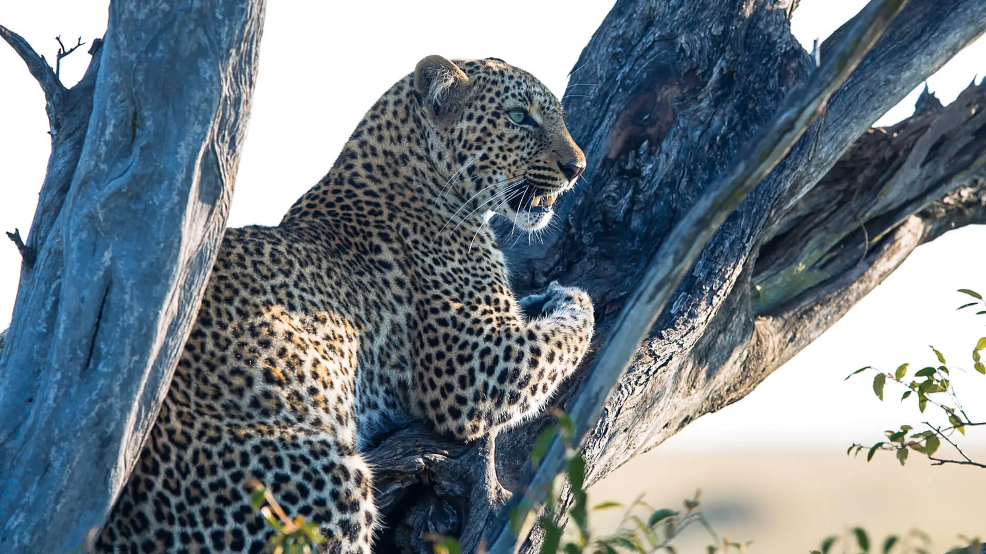 Samburu, Laikipia & Mount Kenya