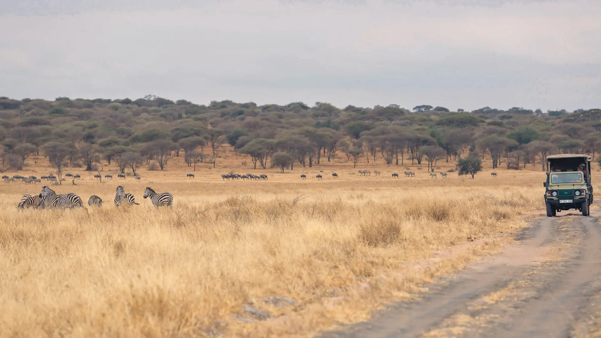 Samburu landscape