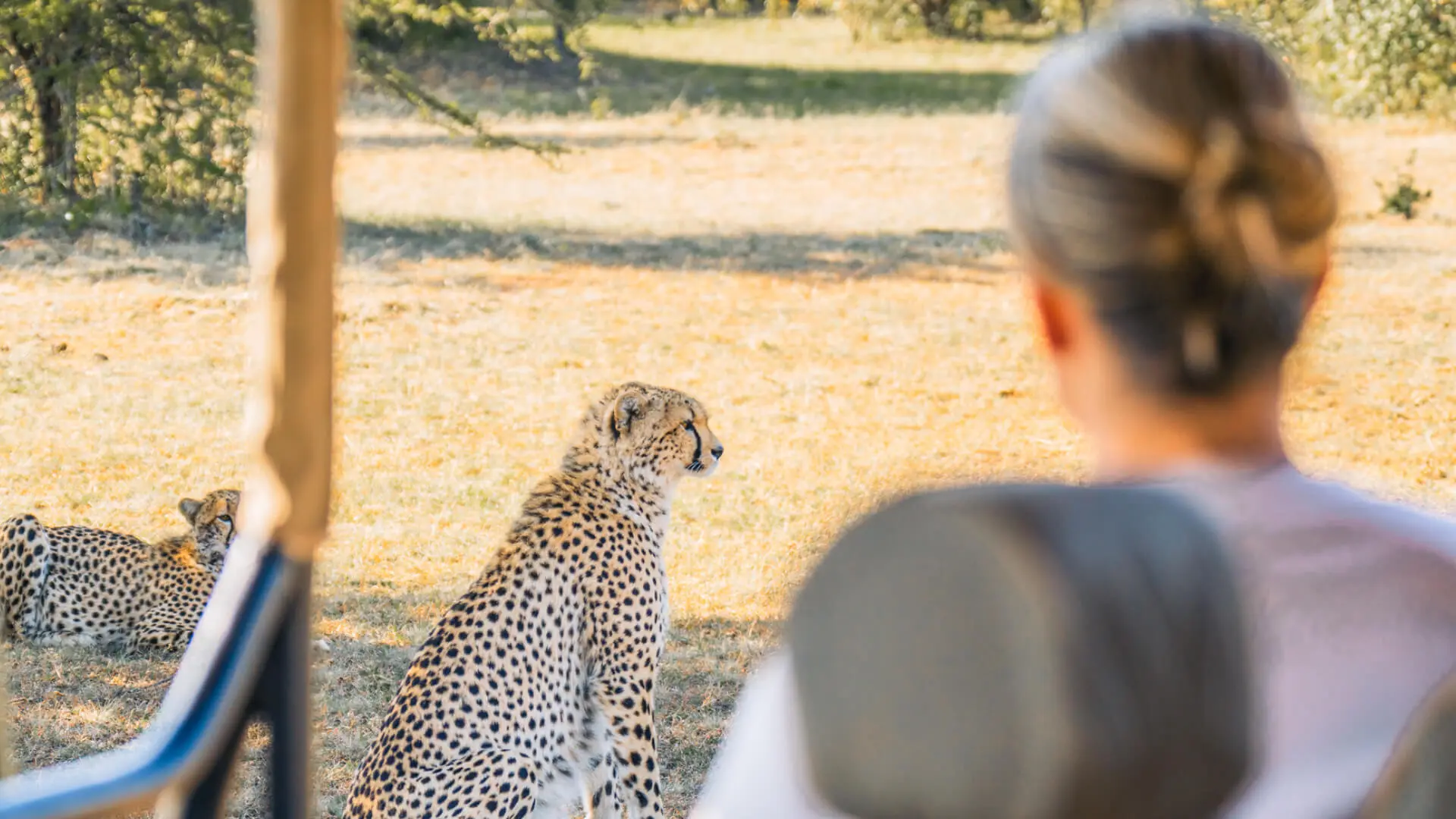 Conservation talks