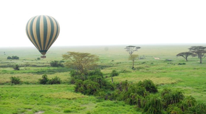 Which Safari Is Better Kenya or Tanzania Tanzania balloon safari