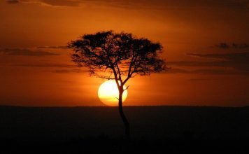 Which Is Better Masai Mara Or Serengeti? masai mara sunset