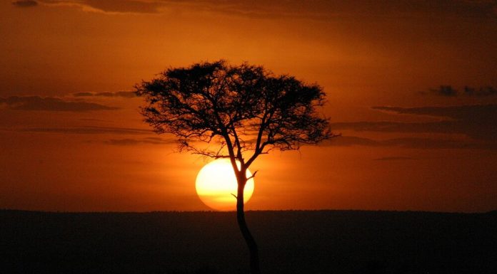 Which Is Better Masai Mara Or Serengeti? masai mara sunset