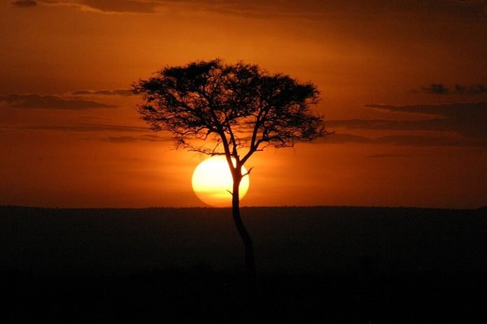 masai mara sunset