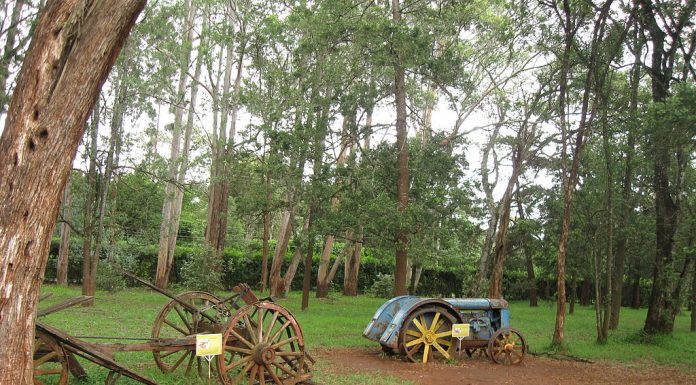 Karen Blixen karen blixen