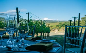 Is Safari Better In Kenya Or South Africa? wine tasting south africa