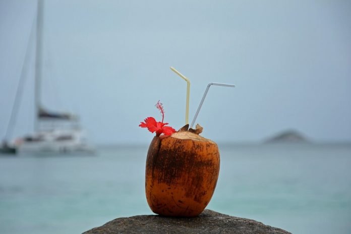 coconut seychelles