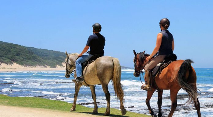 Horse Safari South Africa horse riding cape town south africa