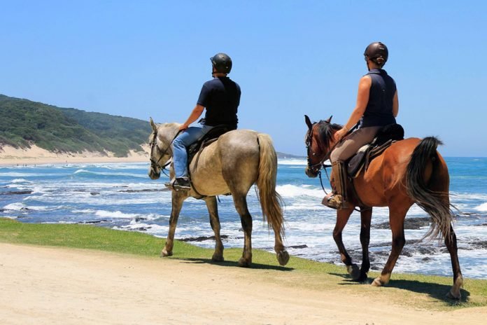 horse riding cape town south africa