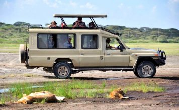 Land Cruiser Safari land cruiser on safari