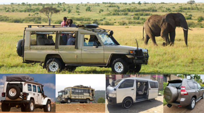 Safari Car Hire