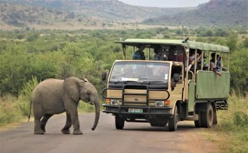 What To Wear On Safari In South Africa