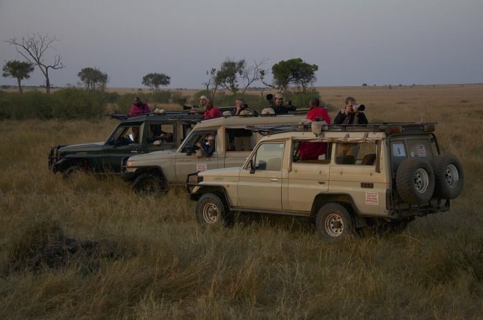 masai mara game drive