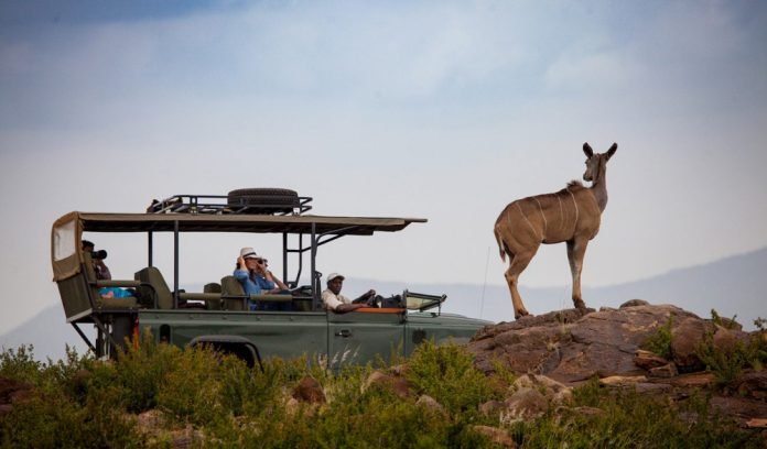 laikipia safari