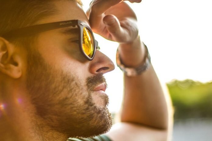 African Safari Sunglasses