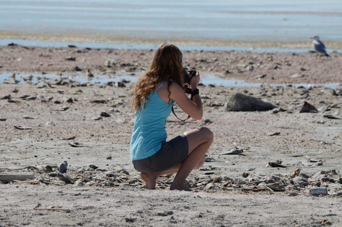 african safari photography
