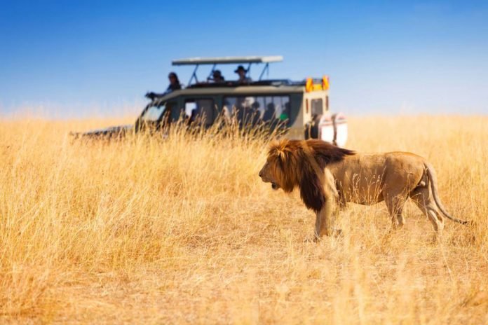 masai mara safari booking
