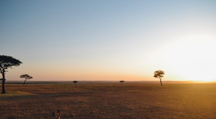 Serengeti National Park Facts serengeti National Park