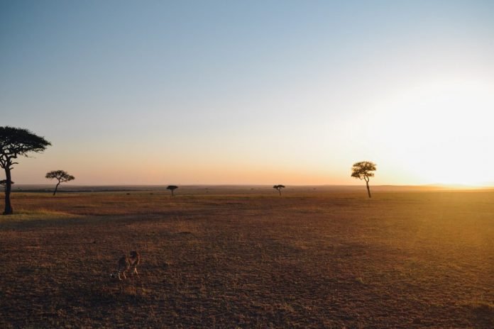 serengeti National Park