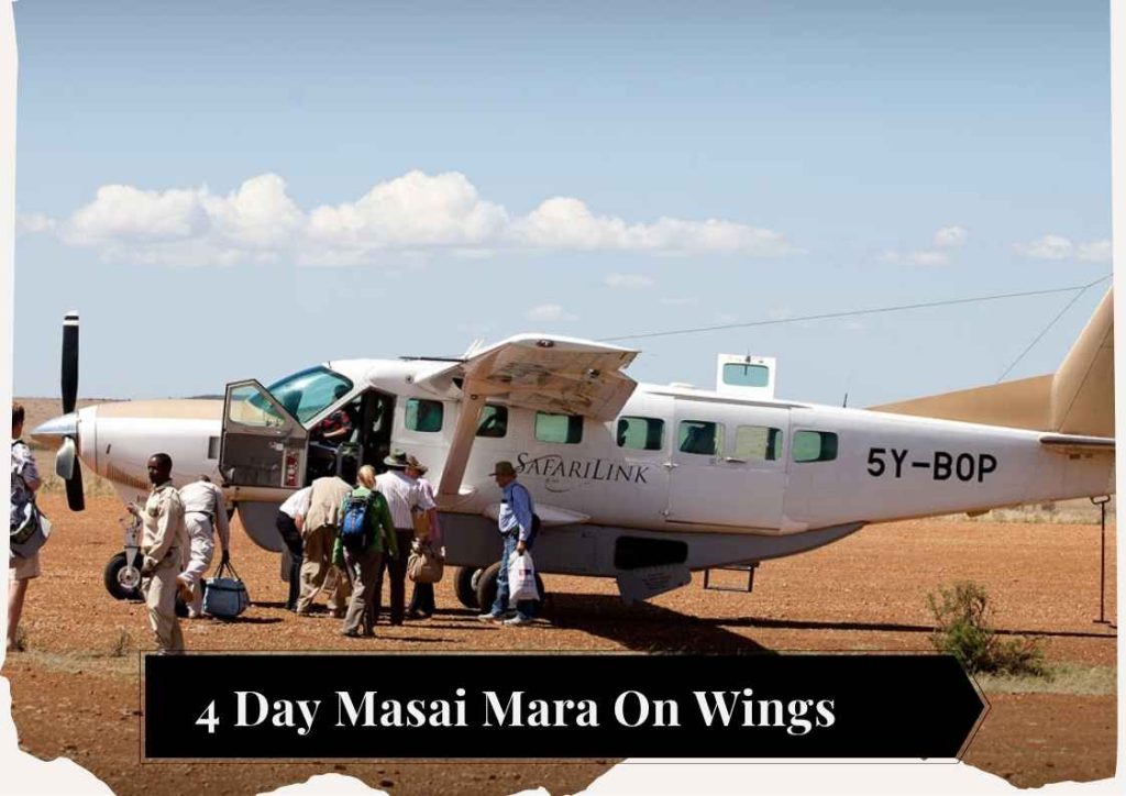 4 day masai mara safari
