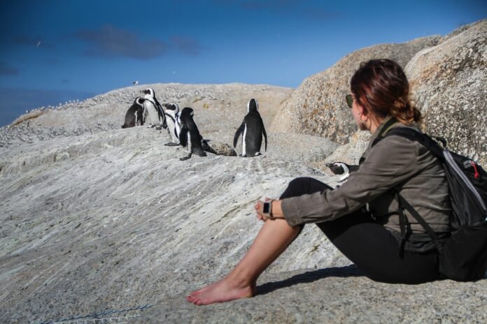 A woman dressed for cape town viewing penguins.
