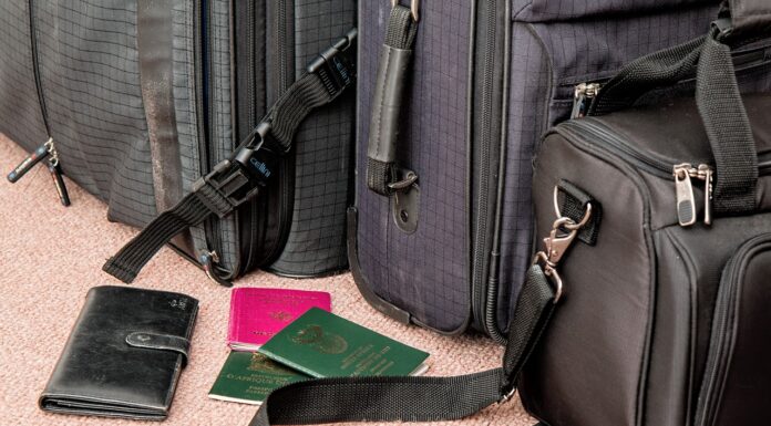 What To Pack For Serengeti Safari Luggage packed ready for a serengeti safari