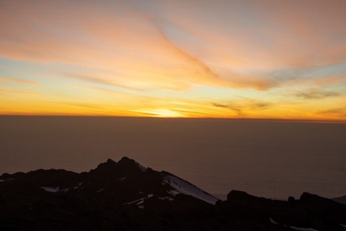 sawn on kilimanjaro summit