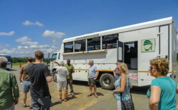 Best Way To Travel Africa