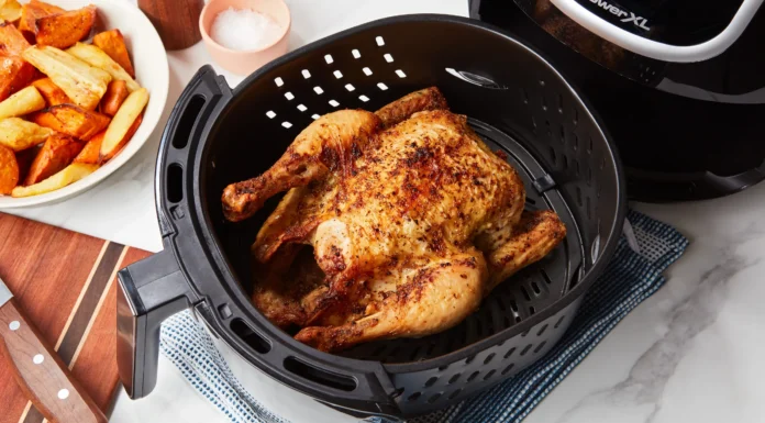 Best Travel Air Fryer air fryer