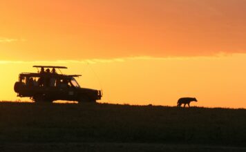 Best Kenya Itinerary a Kenya safari game drive at dawn