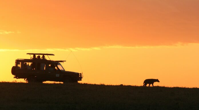 Best Kenya Itinerary a Kenya safari game drive at dawn