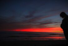 Can I Go On Safari When Pregnant a mother traveling while pregnant