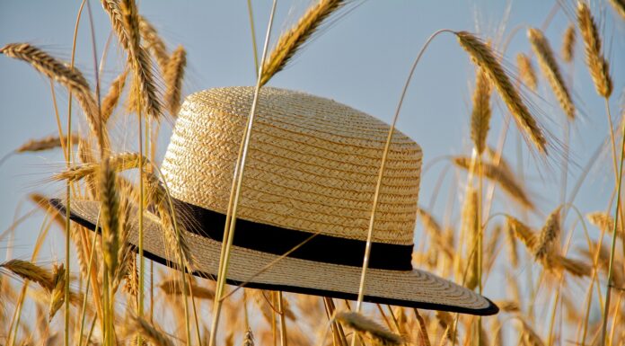 Safari Hats A safari hat on the field
