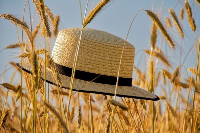A safari hat on the field