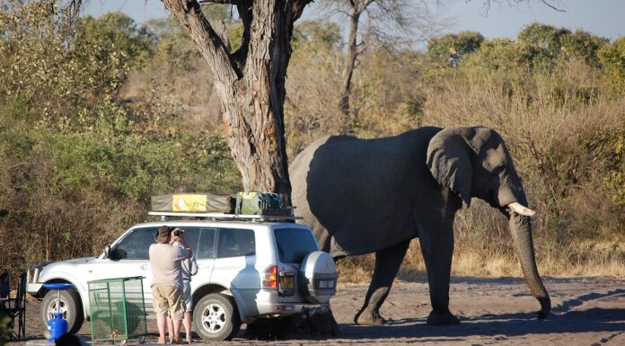What to Wear in Namibia a man on safari Namibia