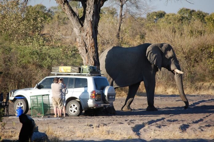 man on safari in Namibia a man on safari Namibia