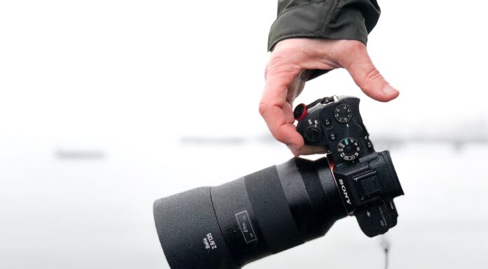 Best Mirrorless Camera for Safari a man holding a mirrorless camera