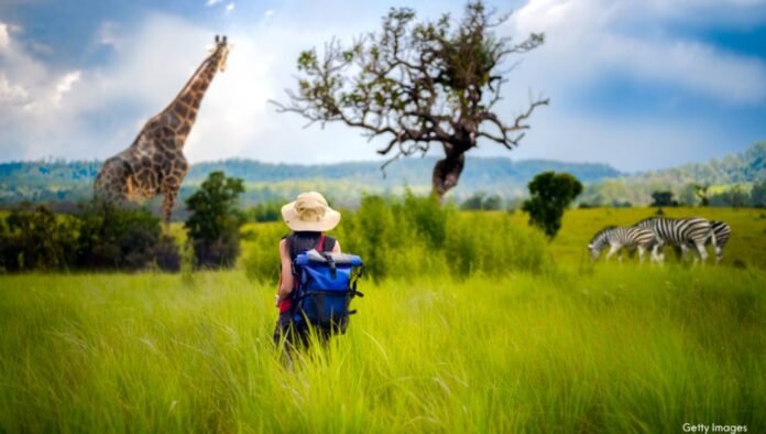 solo traveler solo African safari traveler