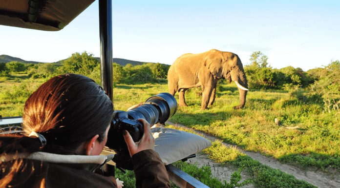 Why Can’t You Wear White On Safari? A lady on safari wearing neutral colours