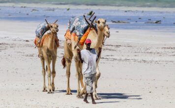 What to Wear in Diani Diani Kenya