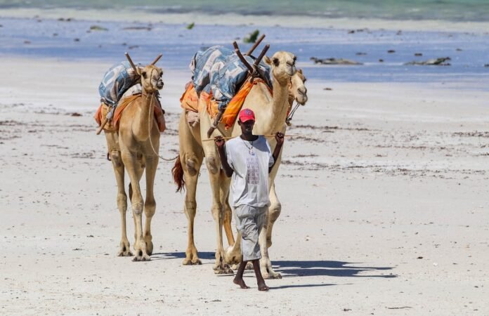Diani Kenya