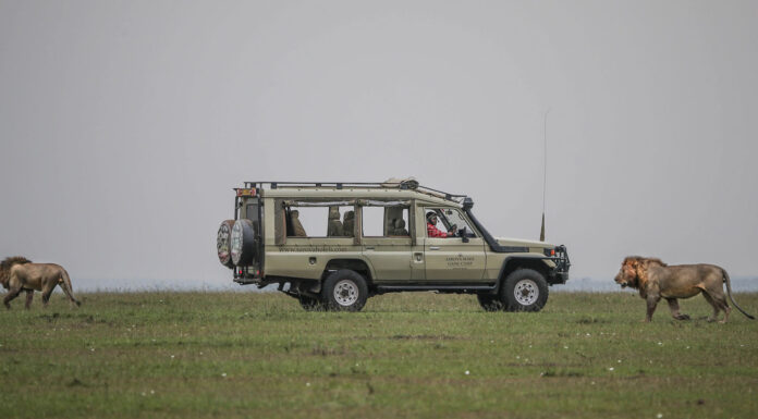 Luxury Safari Packing List A game drive on a luxury safari jeep