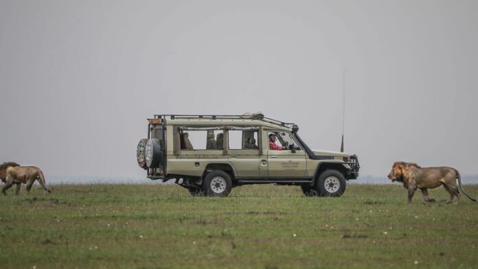 luxury safari game drive A game drive on a luxury safari jeep