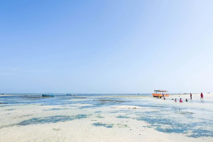 Malindi Kenya Coastline