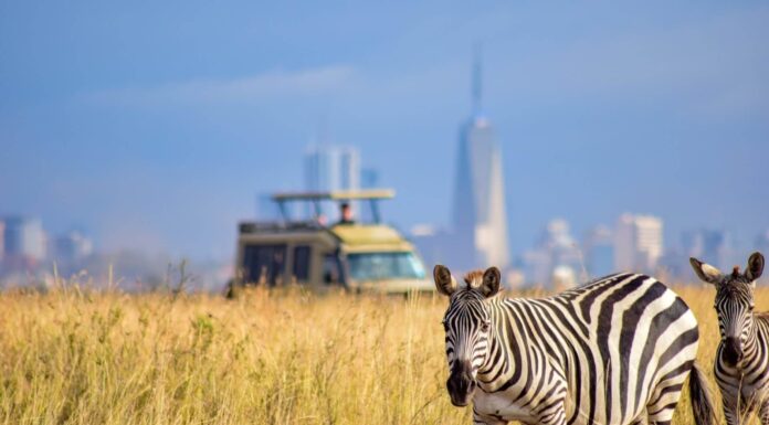 Lunch at Nairobi National Park A tour vehicle at Nairobi National Park