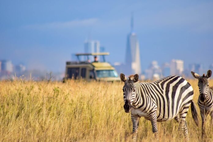 A tour vehicle at Nairobi National Park